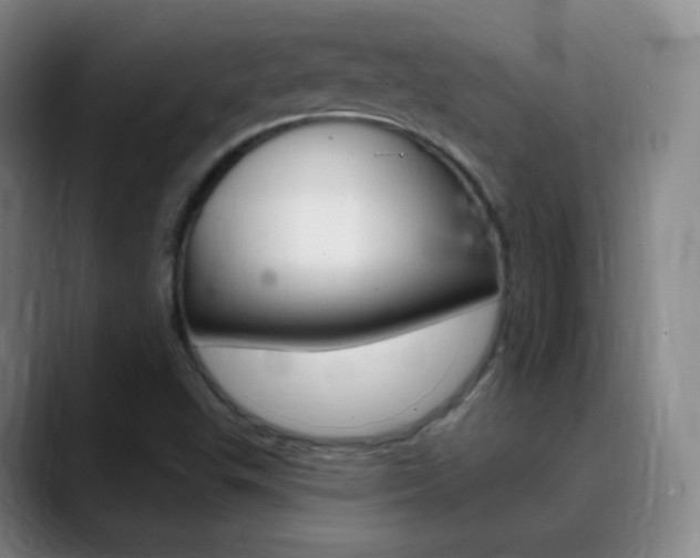 X0000090751503200707201022