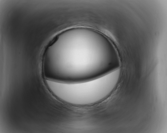 X0000090751504200707201022