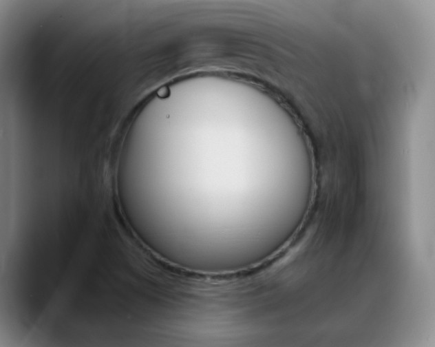 X0000090751505200707201022