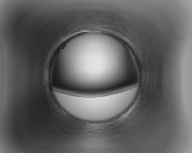 X0000090751506200707201022