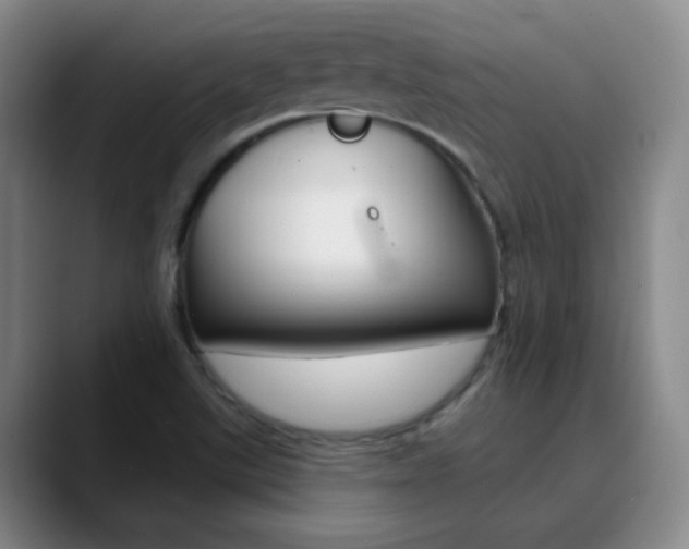 X0000090751507200707201022