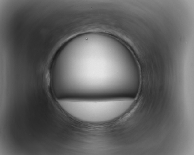 X0000090751509200707201022