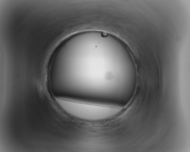 X0000090751511200707201022