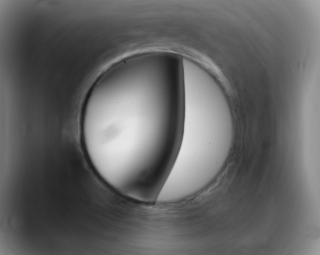 X0000090751512200707201022
