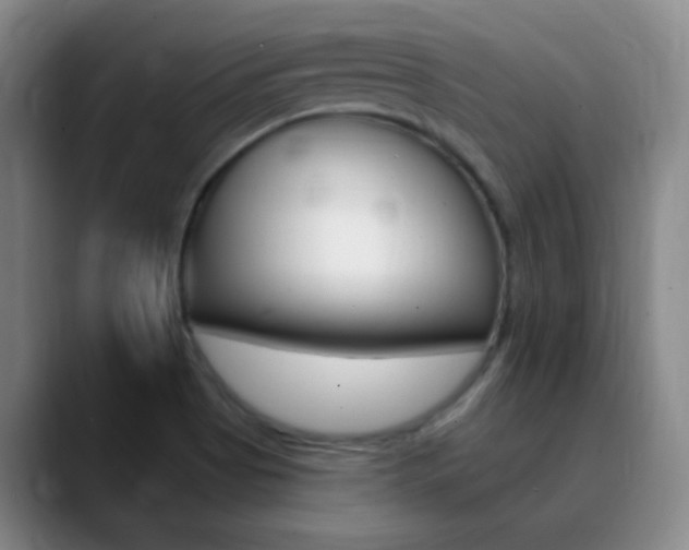 X0000090751513200707201022