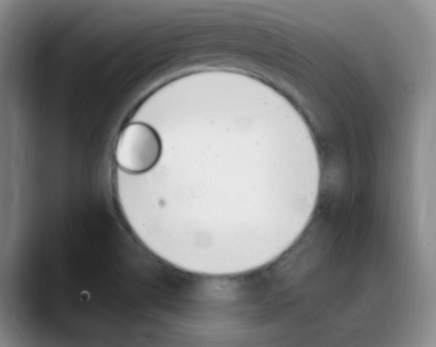 X0000090751514200707201022