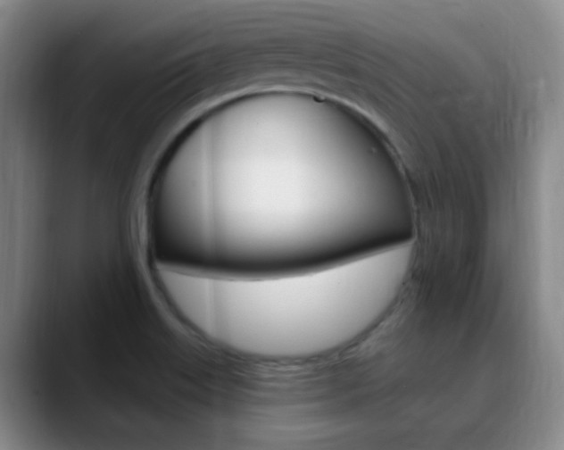 X0000090751515200707201022