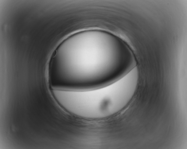 X0000090751516200707201022