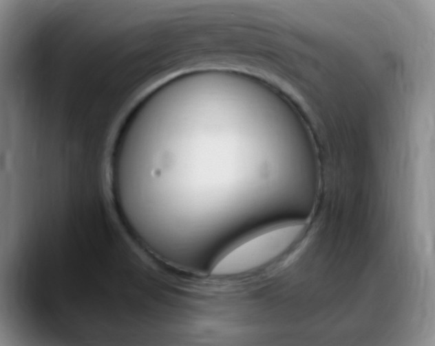 X0000090751517200707201022