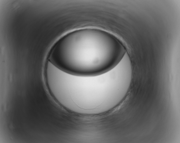 X0000090751518200707201022