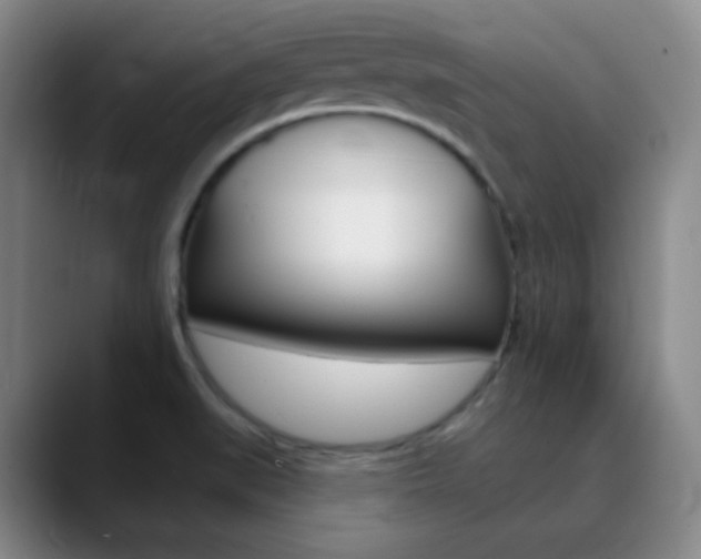 X0000090751519200707201022