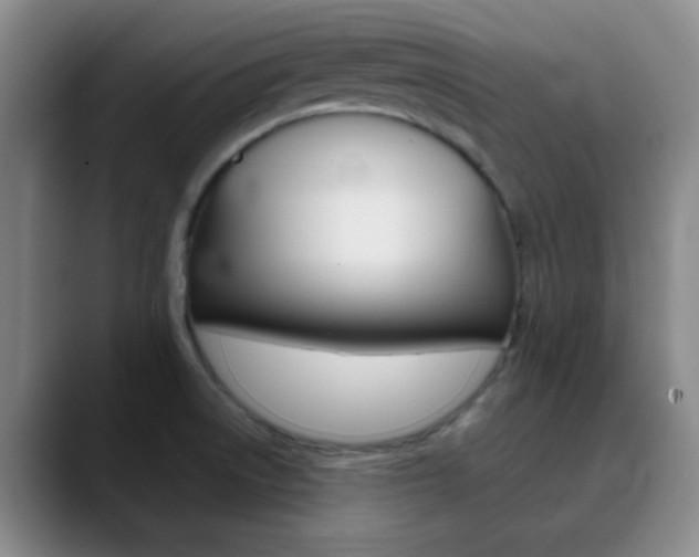X0000090751522200707201022