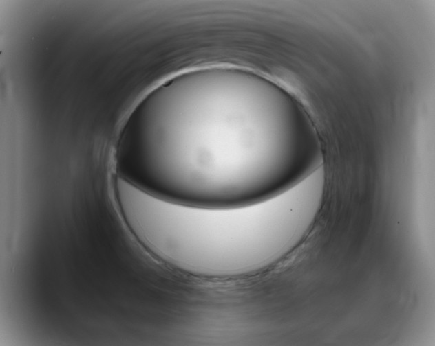 X0000090751524200707201022