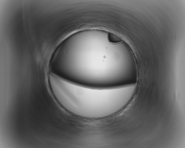 X0000090751525200707201022