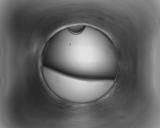X0000090751526200707201022