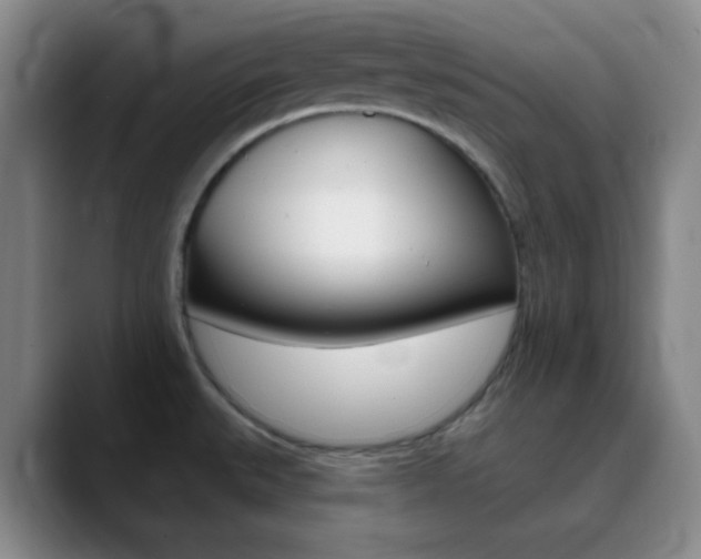 X0000090751527200707201022