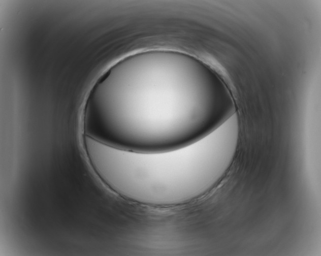 X0000090751528200707201022