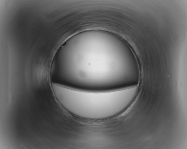 X0000090751529200707201022