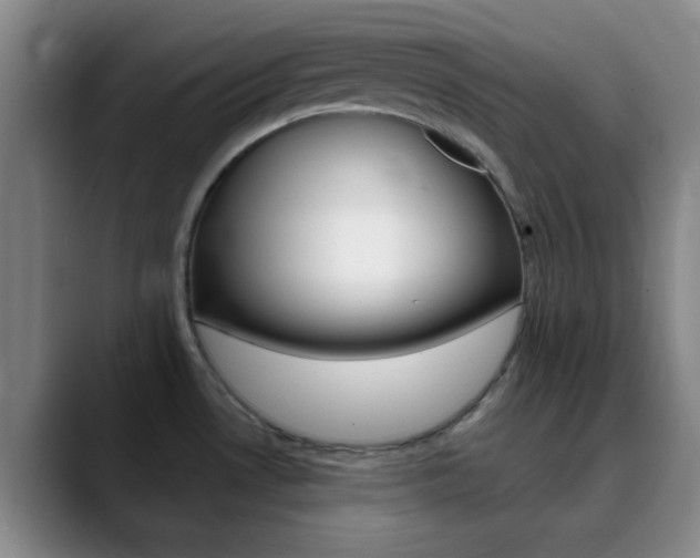 X0000090751530200707201022