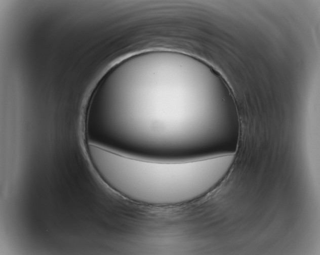 X0000090751531200707201022