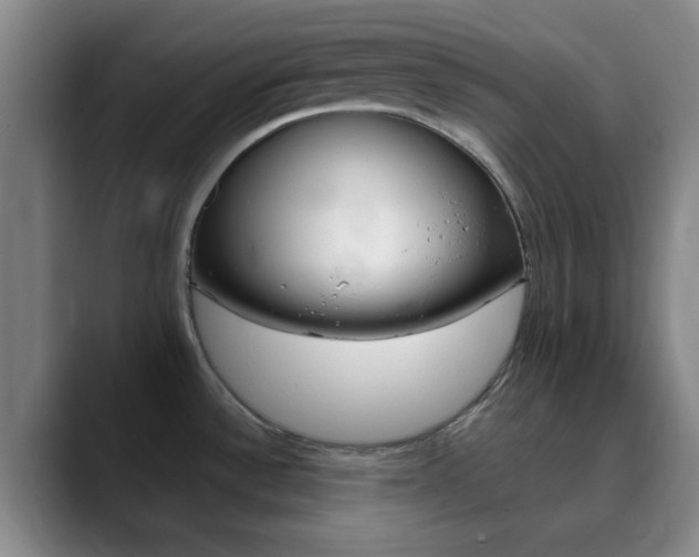 X0000090751532200707201022