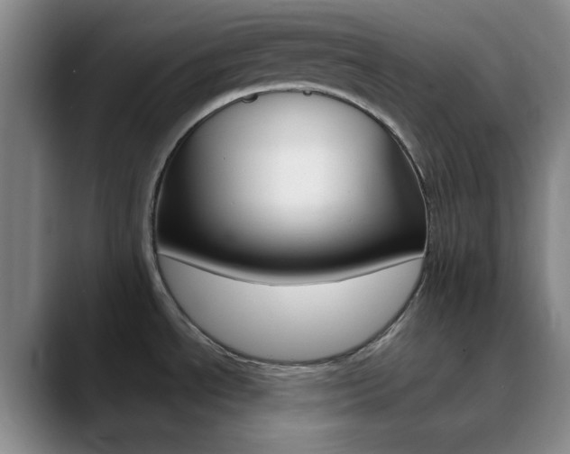 X0000090751534200707201022