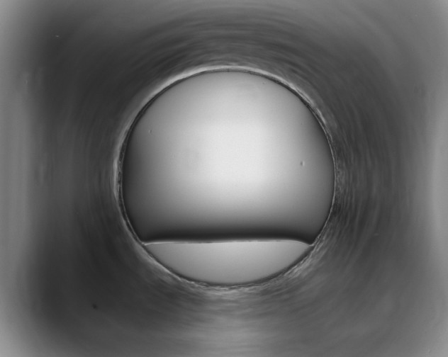 X0000090751535200707201022