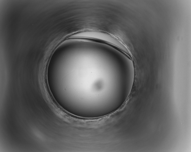 X0000090750001200707201459
