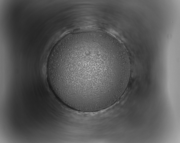 X0000090750002200707201459
