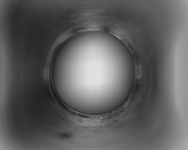 X0000090750004200707201459