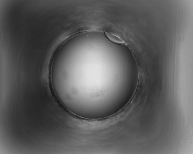 X0000090750006200707201459