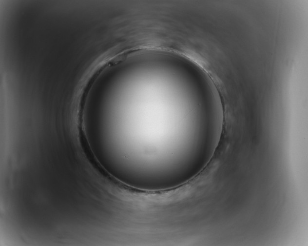 X0000090750007200707201459