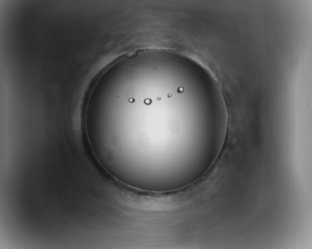 X0000090750008200707201459