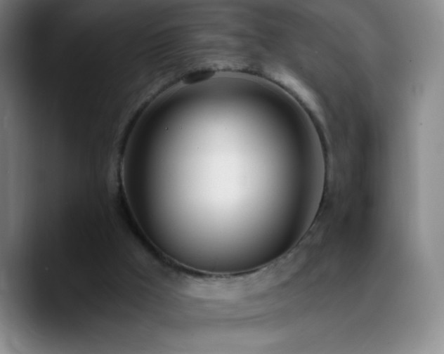 X0000090750009200707201459