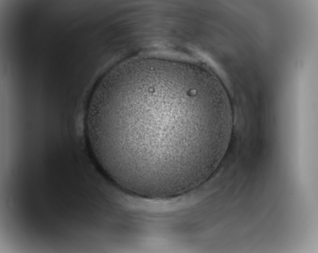 X0000090750010200707201459