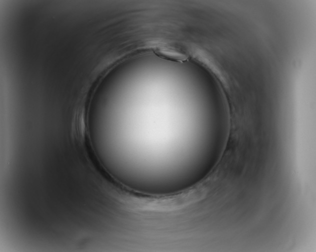 X0000090750011200707201459