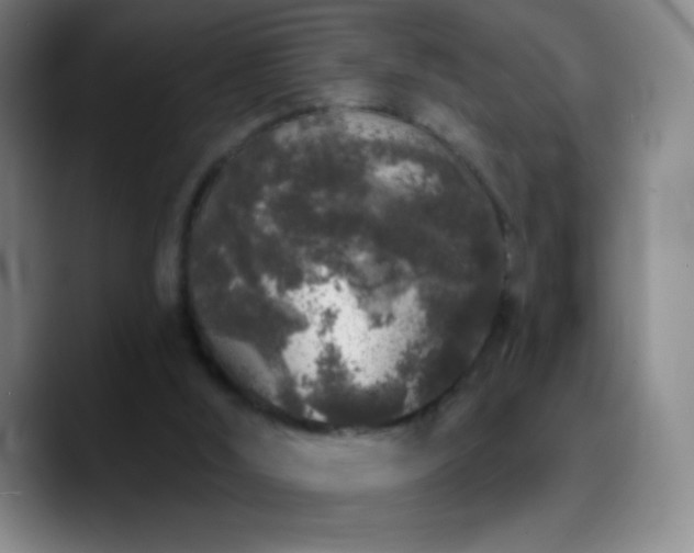 X0000090750012200707201459