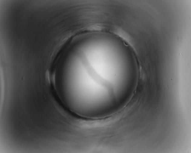 X0000090750013200707201459