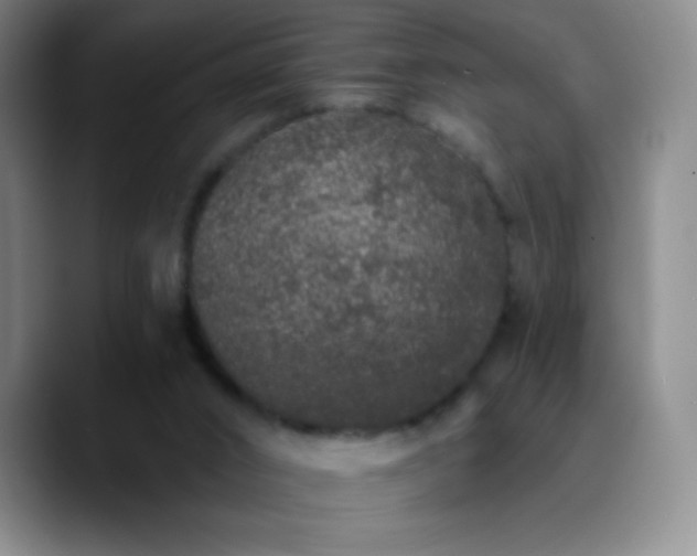 X0000090750016200707201458