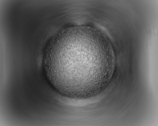 X0000090750018200707201458