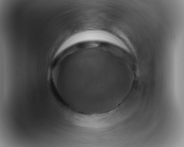 X0000090750019200707201458
