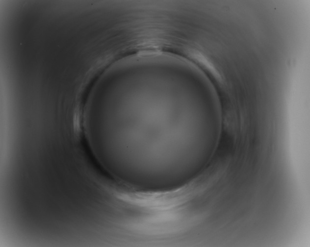 X0000090750023200707201458