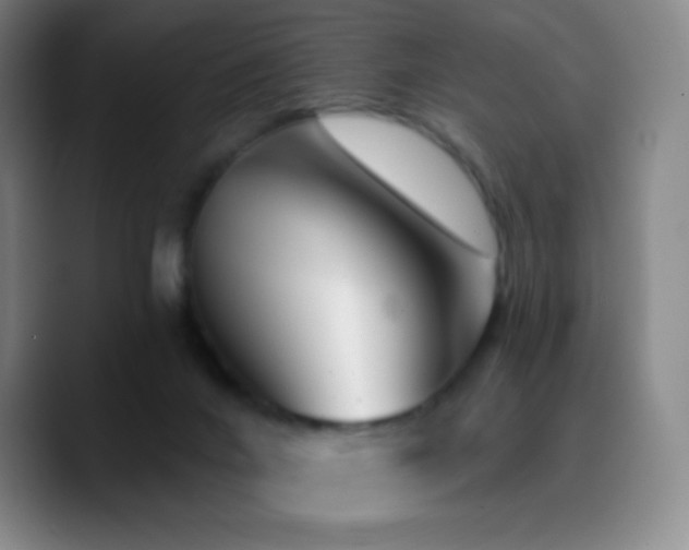X0000090750024200707201458
