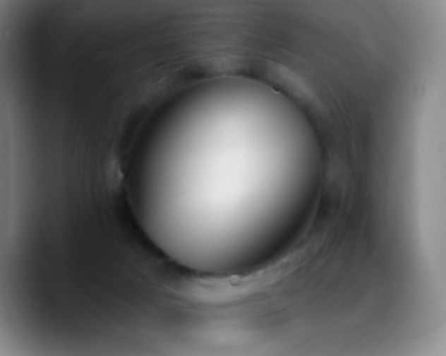 X0000090750025200707201458
