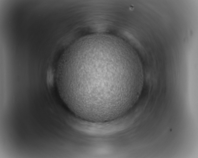 X0000090750026200707201458