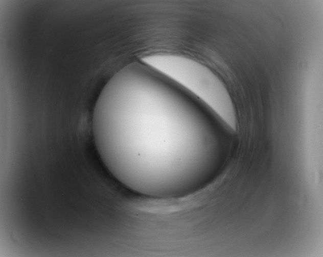 X0000090750029200707201458