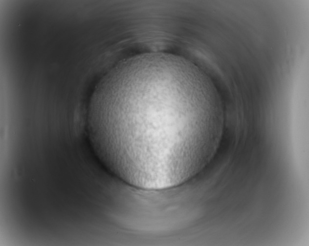 X0000090750030200707201458