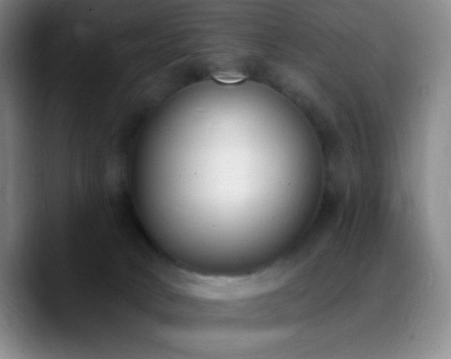 X0000090750034200707201458