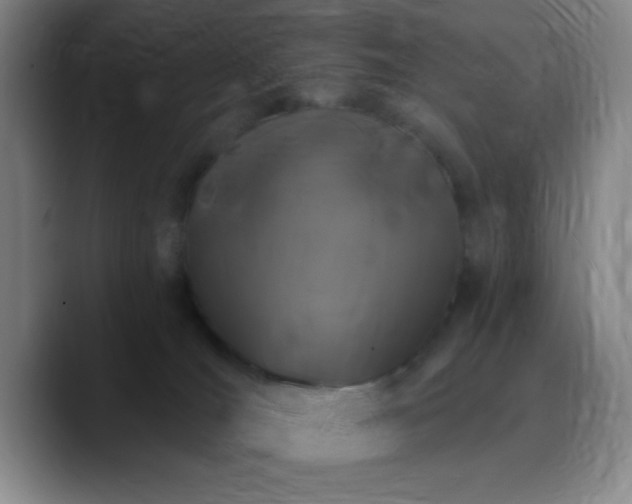 X0000090750036200707201458
