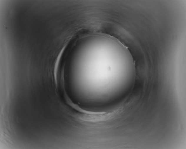 X0000090750037200707201458